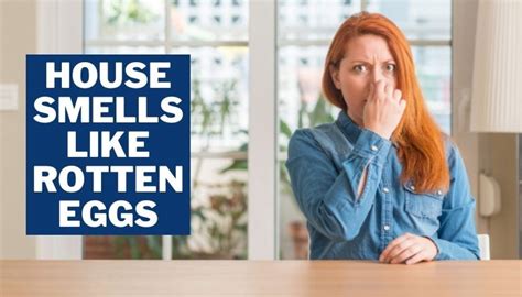 Egg smell in house. Things To Know About Egg smell in house. 